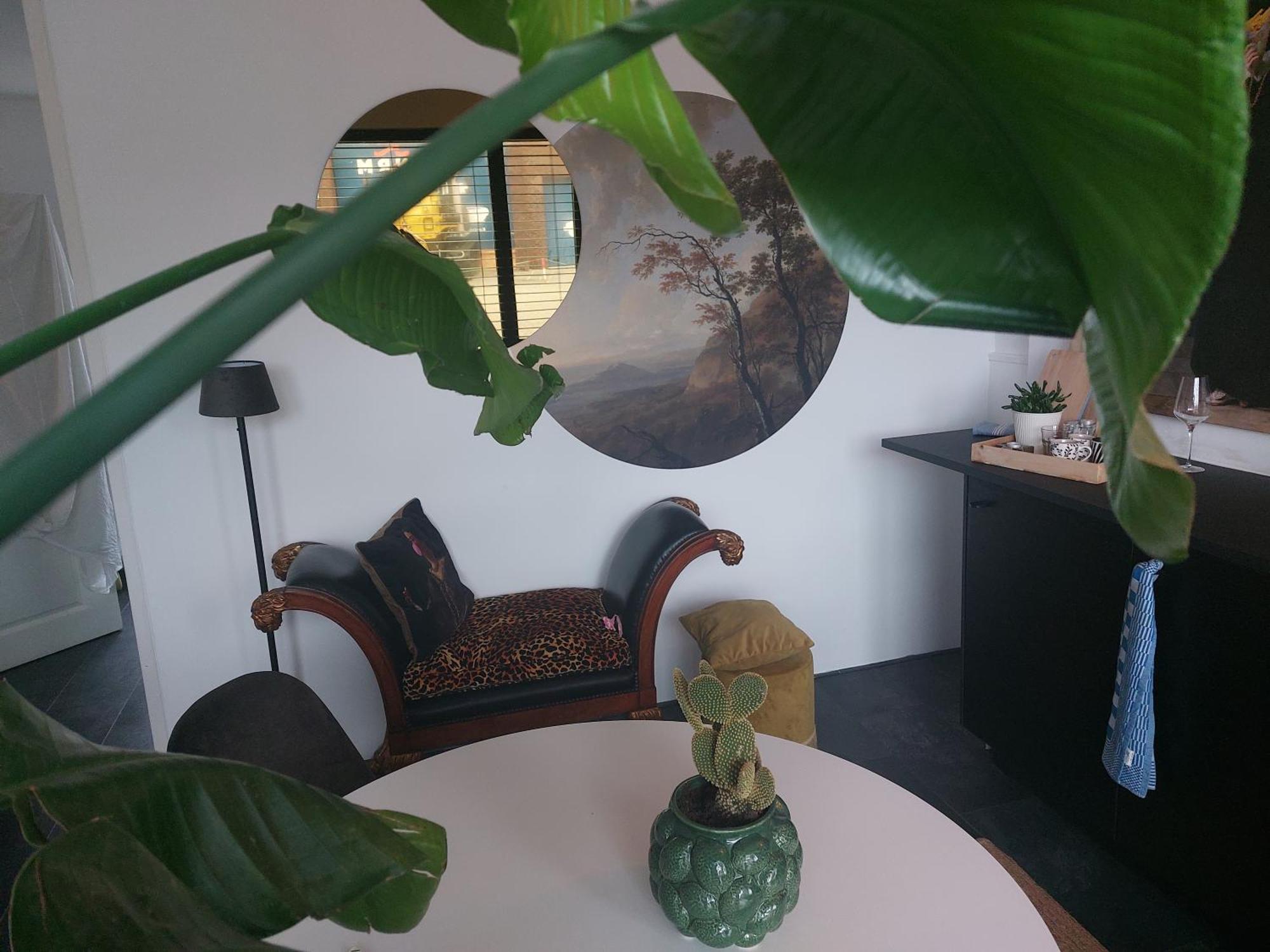 Rembrandtsbeachsuite Zandvoort Kültér fotó